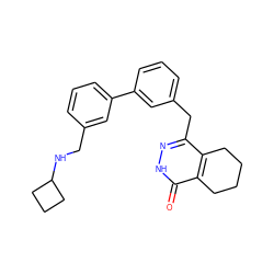 O=c1[nH]nc(Cc2cccc(-c3cccc(CNC4CCC4)c3)c2)c2c1CCCC2 ZINC000168350192