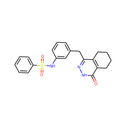 O=c1[nH]nc(Cc2cccc(NS(=O)(=O)c3ccccc3)c2)c2c1CCCC2 ZINC000168332847