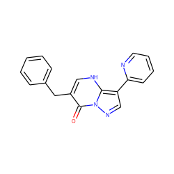 O=c1c(Cc2ccccc2)c[nH]c2c(-c3ccccn3)cnn12 ZINC001772647175