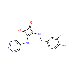 O=c1c(NCc2ccc(Cl)c(Cl)c2)c(Nc2ccncc2)c1=O ZINC000102921462