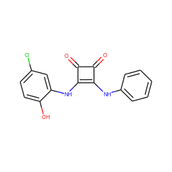 O=c1c(Nc2ccccc2)c(Nc2cc(Cl)ccc2O)c1=O ZINC000101101563