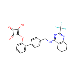 O=c1c(O)c(Oc2ccccc2-c2ccc(CNc3nc(C(F)(F)F)nc4c3CCCC4)cc2)c1=O ZINC000095563417