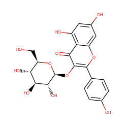 O=c1c(O[C@@H]2O[C@H](CO)[C@@H](O)[C@H](O)[C@H]2O)c(-c2ccc(O)cc2)oc2cc(O)cc(O)c12 ZINC000004102435