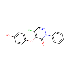 O=c1c(Oc2ccc(O)cc2)c(Cl)cnn1-c1ccccc1 ZINC000066167215