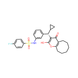 O=c1c2c(oc(O)c1[C@H](c1cccc(NS(=O)(=O)c3ccc(F)cc3)c1)C1CC1)CCCCCC2 ZINC000101172572