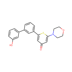 O=c1cc(-c2cccc(-c3cccc(O)c3)c2)sc(N2CCOCC2)c1 ZINC000013538740