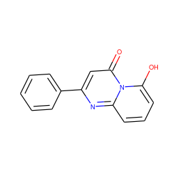 O=c1cc(-c2ccccc2)nc2cccc(O)n12 ZINC000101148957