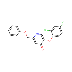 O=c1cc(COc2ccccc2)[nH]cc1Oc1ccc(Cl)cc1Cl ZINC000141751042