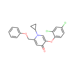 O=c1cc(COc2ccccc2)n(C2CC2)cc1Oc1ccc(Cl)cc1Cl ZINC000141720325