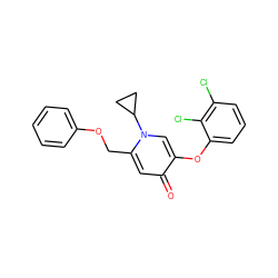 O=c1cc(COc2ccccc2)n(C2CC2)cc1Oc1cccc(Cl)c1Cl ZINC000141720116