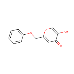 O=c1cc(COc2ccccc2)occ1O ZINC000096272013