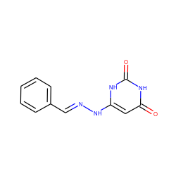 O=c1cc(N/N=C/c2ccccc2)[nH]c(=O)[nH]1 ZINC000004114209