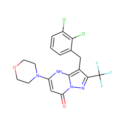 O=c1cc(N2CCOCC2)[nH]c2c(Cc3cccc(Cl)c3Cl)c(C(F)(F)F)nn12 ZINC000095584730