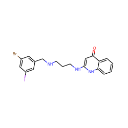 O=c1cc(NCCCNCc2cc(Br)cc(I)c2)[nH]c2ccccc12 ZINC000013487761