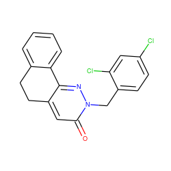 O=c1cc2c(nn1Cc1ccc(Cl)cc1Cl)-c1ccccc1CC2 ZINC000006243031