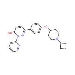 O=c1ccc(-c2ccc(OC3CCN(C4CCC4)CC3)cc2)nn1-c1ccccn1 ZINC000082149095