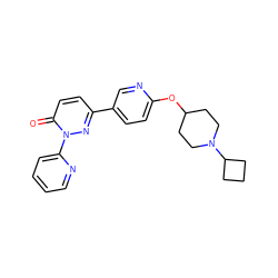 O=c1ccc(-c2ccc(OC3CCN(C4CCC4)CC3)nc2)nn1-c1ccccn1 ZINC000073198597