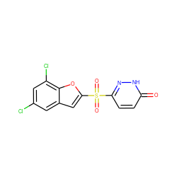 O=c1ccc(S(=O)(=O)c2cc3cc(Cl)cc(Cl)c3o2)n[nH]1 ZINC000011536196