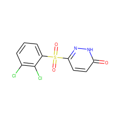 O=c1ccc(S(=O)(=O)c2cccc(Cl)c2Cl)n[nH]1 ZINC000011536172