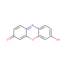 O=c1ccc2nc3ccc(O)cc3oc-2c1 ZINC000004428361