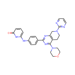 O=c1cccc(Nc2ccc(-c3nc4c(c(N5CCOCC5)n3)CCN(c3ncccn3)C4)cc2)[nH]1 ZINC000095586091