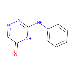 O=c1cnnc(Nc2ccccc2)[nH]1 ZINC000013521788