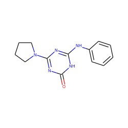 O=c1nc(N2CCCC2)nc(Nc2ccccc2)[nH]1 ZINC000008582948