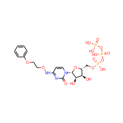 O=c1nc(NOCCOc2ccccc2)ccn1[C@@H]1O[C@H](CO[P@@](=O)(O)O[P@@](=O)(O)OP(=O)(O)O)[C@@H](O)[C@H]1O ZINC000169340925