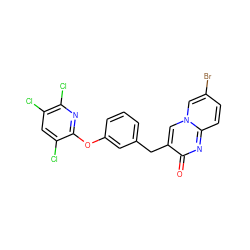 O=c1nc2ccc(Br)cn2cc1Cc1cccc(Oc2nc(Cl)c(Cl)cc2Cl)c1 ZINC000169331052