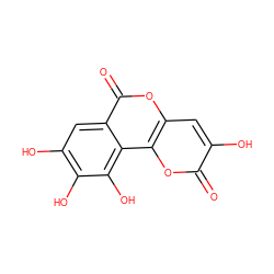 O=c1oc2c(cc1O)oc(=O)c1cc(O)c(O)c(O)c12 ZINC000013152238