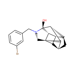 O[C@@]12[C@@H]3[C@H]4C[C@H]5[C@@H]6[C@@H]4[C@@H]1[C@@H]6[C@@H]([C@H]53)N2Cc1cccc(Br)c1 ZINC000253793355