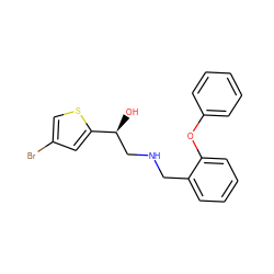 O[C@@H](CNCc1ccccc1Oc1ccccc1)c1cc(Br)cs1 ZINC000014966824