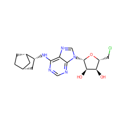 O[C@@H]1[C@@H](CCl)O[C@@H](n2cnc3c(N[C@@H]4C[C@@H]5CC[C@H]4C5)ncnc32)[C@@H]1O ZINC000048995372