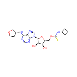 O[C@@H]1[C@@H](COC(=S)NC2CCC2)O[C@@H](n2cnc3c(N[C@@H]4CCOC4)ncnc32)[C@@H]1O ZINC000013589088