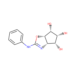 O[C@@H]1[C@@H]2N=C(Nc3ccccc3)O[C@@H]2[C@H](O)[C@@H]1O ZINC000169359597