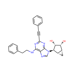 O[C@@H]1[C@H](O)[C@@H]2C[C@@H]2[C@H]1n1cnc2c(NCCc3ccccc3)nc(C#Cc3ccccc3)nc21 ZINC000084687371