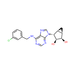 O[C@@H]1[C@H](O)[C@@H]2C[C@@H]2[C@H]1n1cnc2c(NCc3cccc(Cl)c3)ncnc21 ZINC000045317997