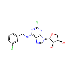 O[C@@H]1CO[C@@H](n2cnc3c(NCc4cccc(Cl)c4)nc(Cl)nc32)[C@@H]1O ZINC000043019991