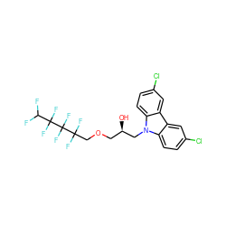 O[C@H](COCC(F)(F)C(F)(F)C(F)(F)C(F)F)Cn1c2ccc(Cl)cc2c2cc(Cl)ccc21 ZINC000008691984