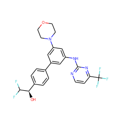 O[C@H](c1ccc(-c2cc(Nc3nccc(C(F)(F)F)n3)cc(N3CCOCC3)c2)cc1)C(F)F ZINC001772628114