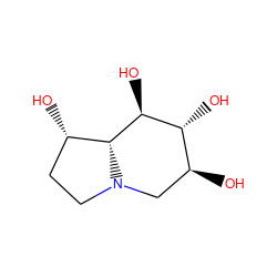 O[C@H]1CN2CC[C@H](O)[C@@H]2[C@@H](O)[C@@H]1O ZINC000003775177