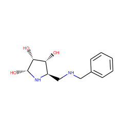 O[C@H]1N[C@H](CNCc2ccccc2)[C@@H](O)[C@H]1O ZINC000028469099