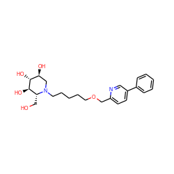 OC[C@@H]1[C@@H](O)[C@H](O)[C@@H](O)CN1CCCCCOCc1ccc(-c2ccccc2)cn1 ZINC000299820407