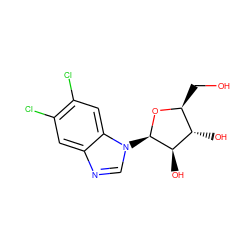 OC[C@@H]1O[C@H](n2cnc3cc(Cl)c(Cl)cc32)[C@H](O)[C@H]1O ZINC000016943508