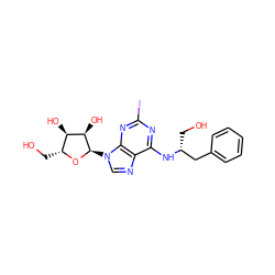 OC[C@H](Cc1ccccc1)Nc1nc(I)nc2c1ncn2[C@H]1O[C@H](CO)[C@@H](O)[C@H]1O ZINC000049793403