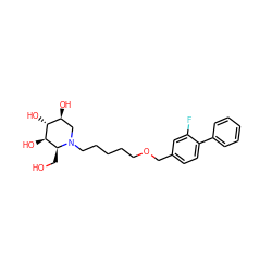 OC[C@H]1[C@@H](O)[C@H](O)[C@@H](O)CN1CCCCCOCc1ccc(-c2ccccc2)c(F)c1 ZINC000299830626