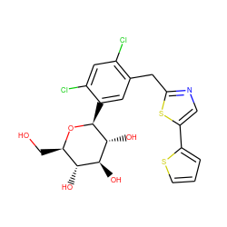 OC[C@H]1O[C@@H](c2cc(Cc3ncc(-c4cccs4)s3)c(Cl)cc2Cl)[C@H](O)[C@@H](O)[C@@H]1O ZINC000071294531