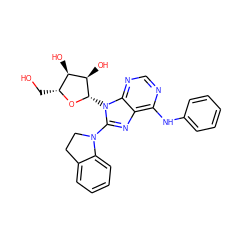 OC[C@H]1O[C@@H](n2c(N3CCc4ccccc43)nc3c(Nc4ccccc4)ncnc32)[C@H](O)[C@@H]1O ZINC000013643669