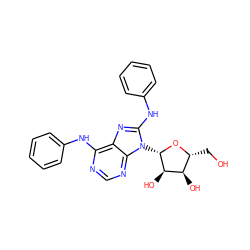 OC[C@H]1O[C@@H](n2c(Nc3ccccc3)nc3c(Nc4ccccc4)ncnc32)[C@H](O)[C@@H]1O ZINC000013643660