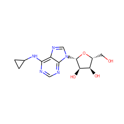 OC[C@H]1O[C@@H](n2cnc3c(NC4CC4)ncnc32)[C@H](O)[C@@H]1O ZINC000012405295